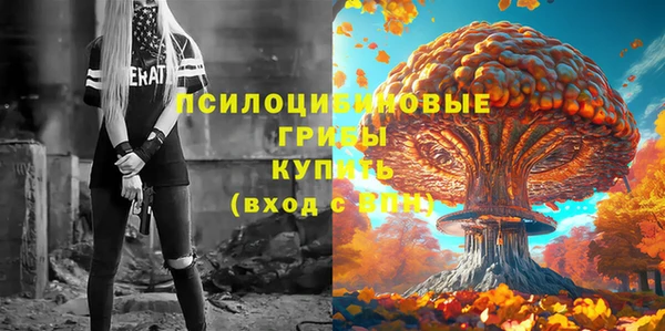 тгк Абинск