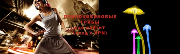 тгк Абинск