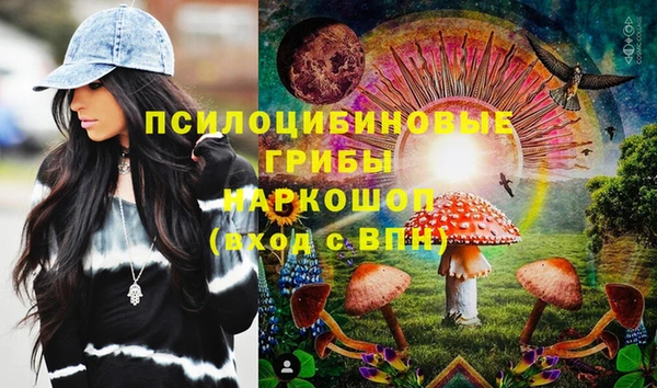 крисы Алзамай