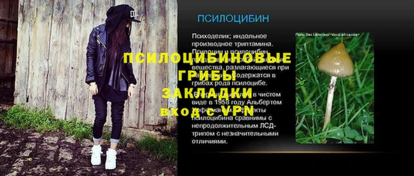 тгк Абинск
