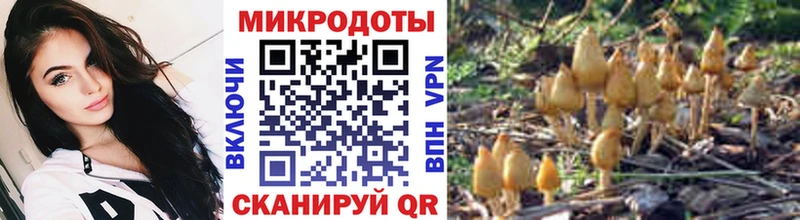 Галлюциногенные грибы мицелий Катав-Ивановск